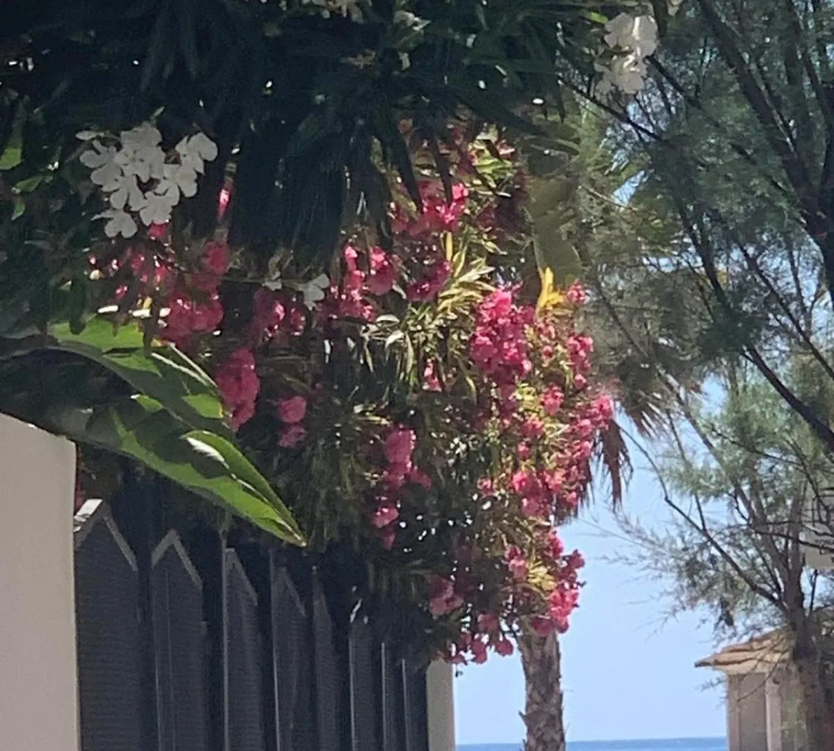Santa Monica Apartment Fuengirola 0*,  Spain